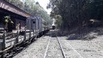 Train at Carlos Gomes Station